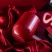 Кофер глянцевый CO12 (красный)