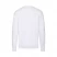 Толстовка мужская без начеса "Lightweight Set-in Sweat", белый, M, 80% х/б 20% полиэстер, 240 г/м2