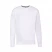 Толстовка мужская без начеса "Lightweight Set-in Sweat", белый, M, 80% х/б 20% полиэстер, 240 г/м2